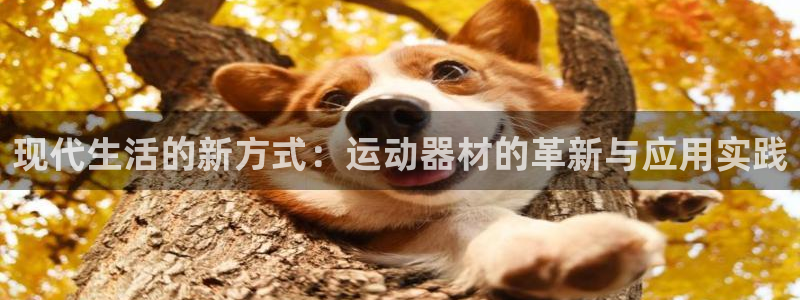 征途国际招商电话号码是多少啊：现代生活的新方式：运动