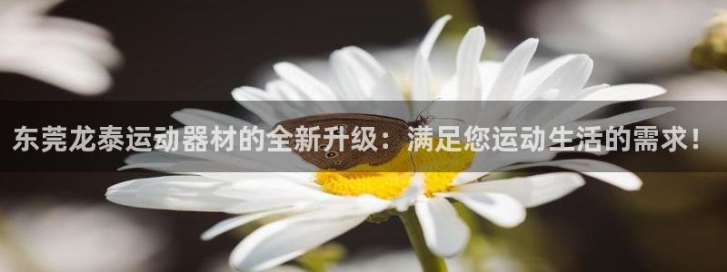 征途国际开户：东莞龙泰运动器材的全新升级：满足您运动