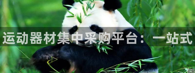 征途国际招商电话号码是多少号：运动器材集中采购平台：一站式