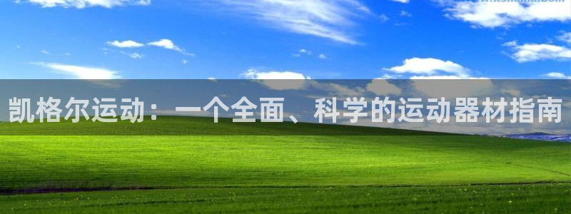 征途国际娱乐代理怎么样：凯格尔运动：一个全面、科学的运动器材