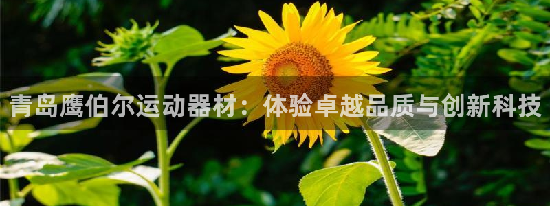征途国际平台是正规平台吗知乎：青岛鹰伯尔运动器材：体验卓越品