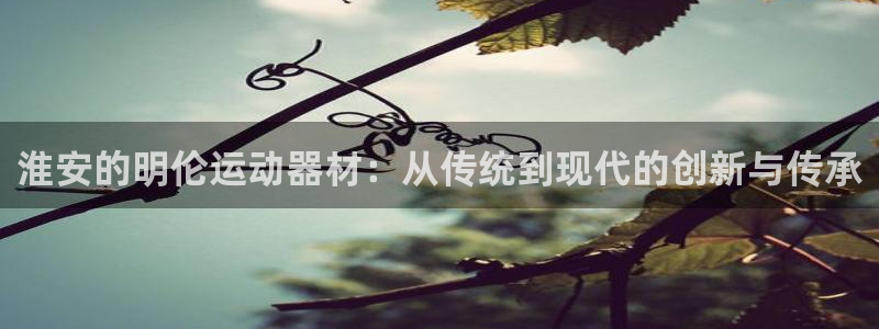征途国际集团官网首页：淮安的明伦运动器材：从传统到现代的创新