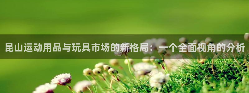 征途国际招商电话号码是多少：昆山运动用品与玩具市场的