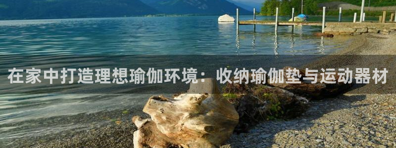 征途国际是干嘛的公司：在家中打造理想瑜伽环境：收纳瑜