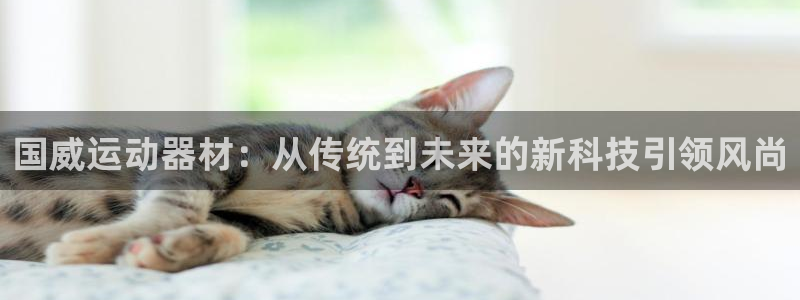 征途国际集团官网网址：国威运动器材：从传统到未来的新