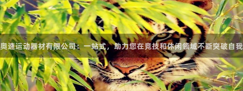 征途国际集团官网