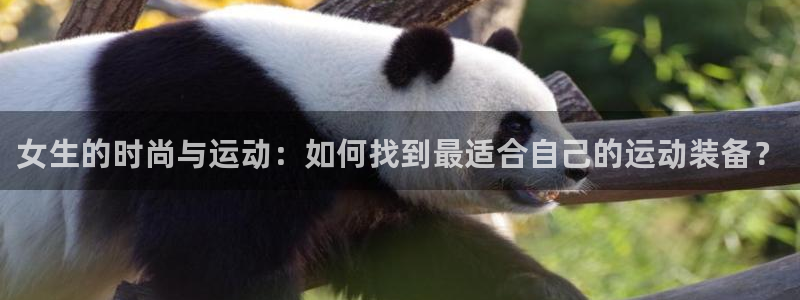 征途国际招商电话号码是多少