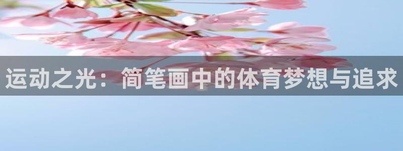 海南征途国际发展怎么样