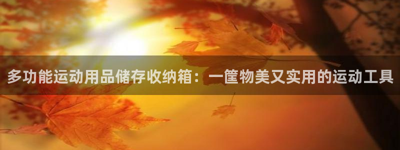 征途国际招商电话号码:多功能运动用品储存收纳箱:一筐物美又实