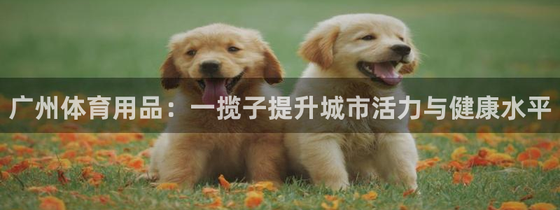 征途国际娱乐是那个系列的台子：广州体育用品：一揽子提