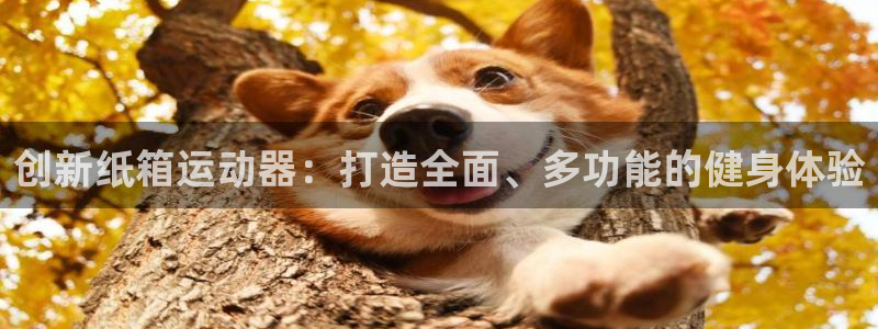 征途国际平台注册：创新纸箱运动器：打造全面、多功能的健身体验