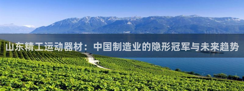 征途国际招商电话是多少啊：山东精工运动器材：中国制造业的隐形