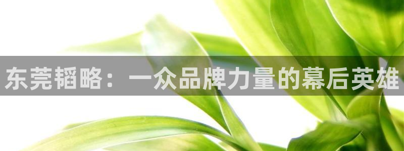 征途国际新能源：东莞韬略：一众品牌力量的幕后英雄