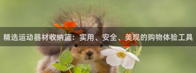 征途国际联系电话：精选运动器材收纳篮：实用、安全、美观的购物