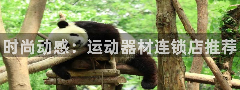 征途国际招商电话是多少啊：时尚动感：运动器材连锁店推荐